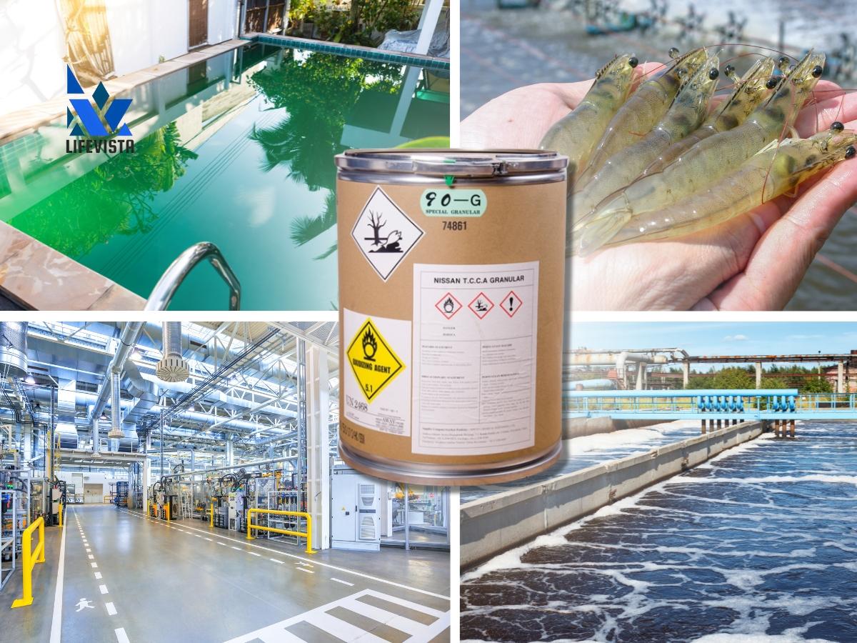 Hóa chất Clorine 90% dạng bột Nissan Nhật Bản