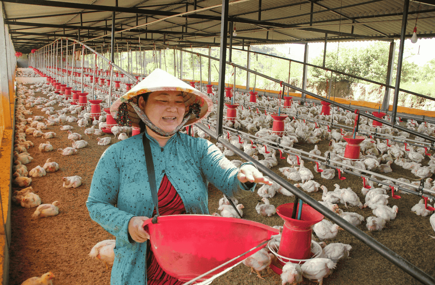 Chúng tôi cam kết luôn đồng hành